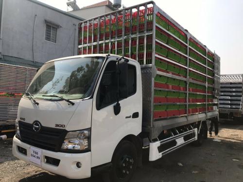 Hino 3.5 Tấn Thùng Chở Gia Cầm Gà, Vịt 256 Lồng